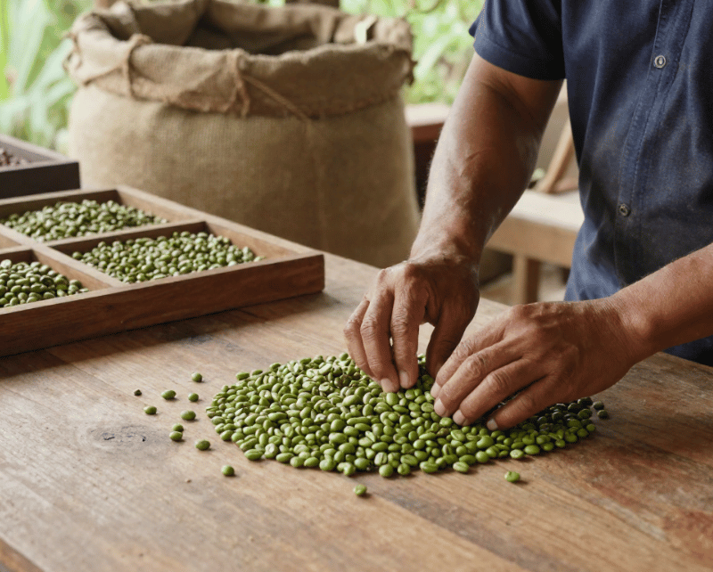 Bước 1_ Chọn hạt