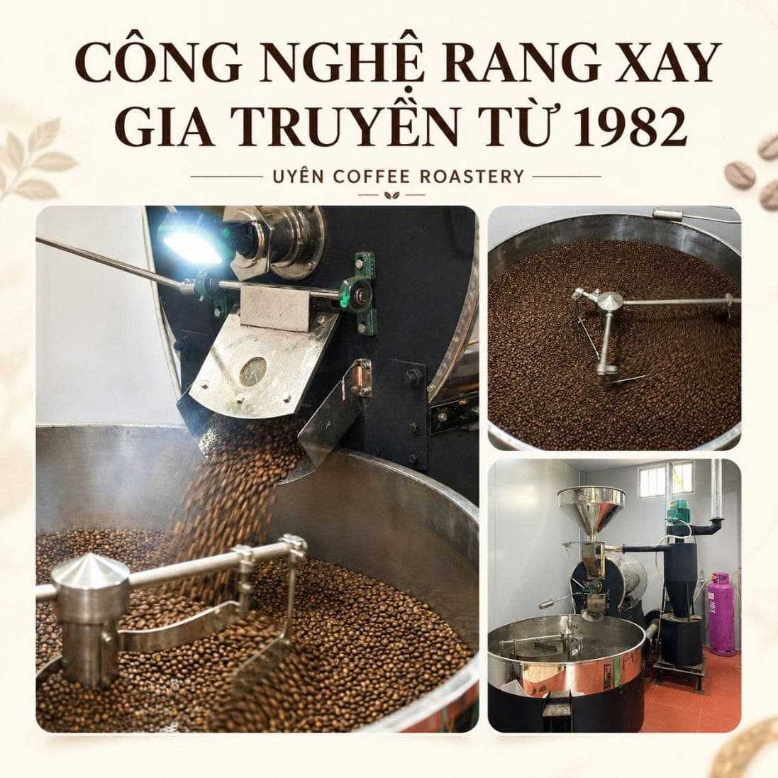 Cà Phê Arabica Moka - Rang Mộc Nguyên Chất Cà Phê Arabica Catimor Lào - Rang Mộc Nguyên Chất 6