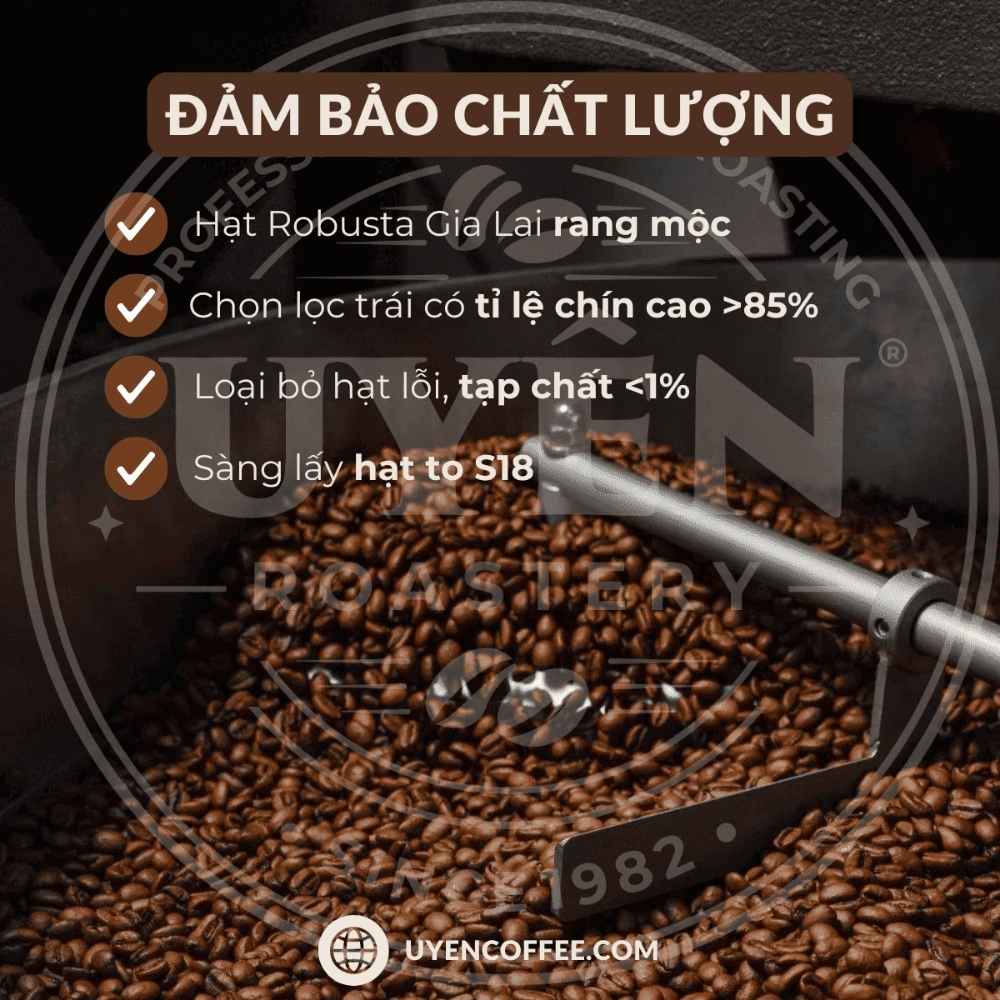 Cà Phê Robusta Honey - Rang Mộc Nguyên Chất Cà Phê Robusta Honey - Rang Mộc Nguyên Chất 7