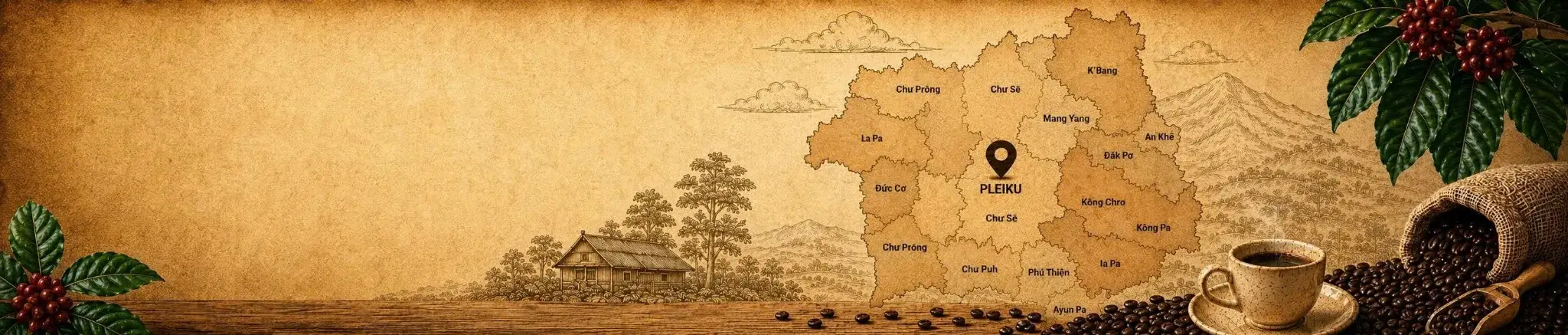 &nbsp;