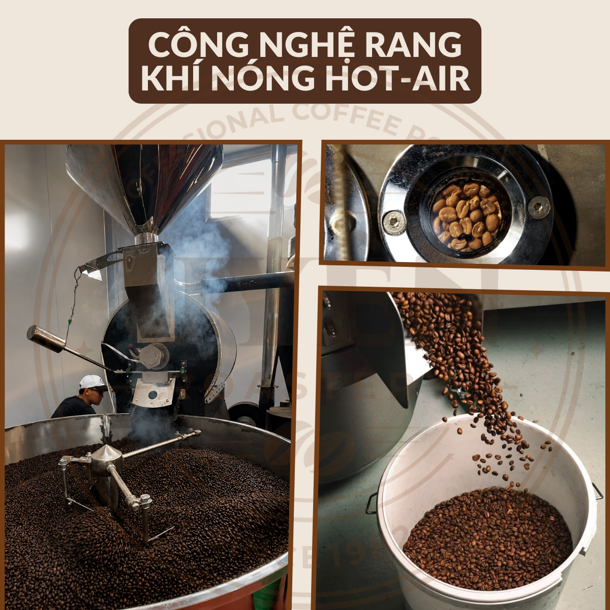 Cà Phê Arabica Catimor Lào - Rang Mộc Nguyên Chất Cà Phê Arabica Catimor Lào - Rang Mộc Nguyên Chất 6