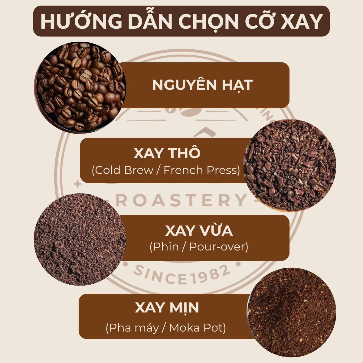 Cà Phê Arabica Catimor Lào - Rang Mộc Nguyên Chất Cà Phê Arabica Catimor Lào - Rang Mộc Nguyên Chất 7