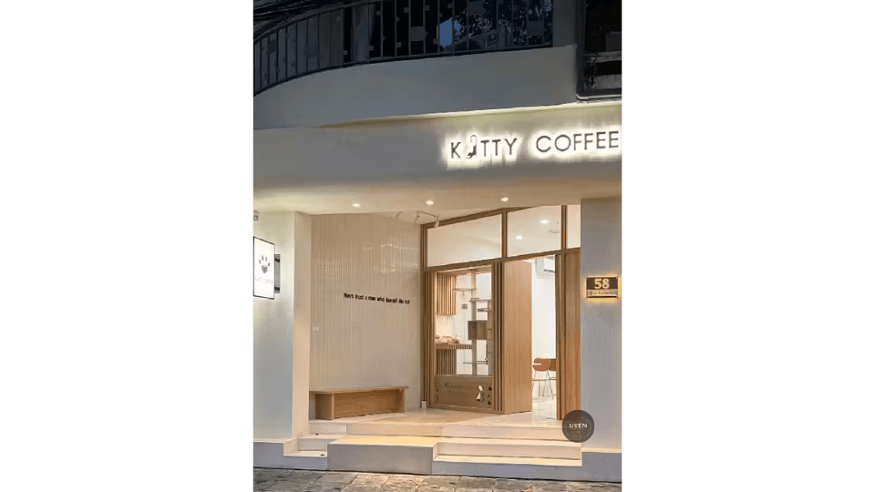 Cà phê mèo Hà Nội: Chốn dừng chân lý tưởng Katty Coffee