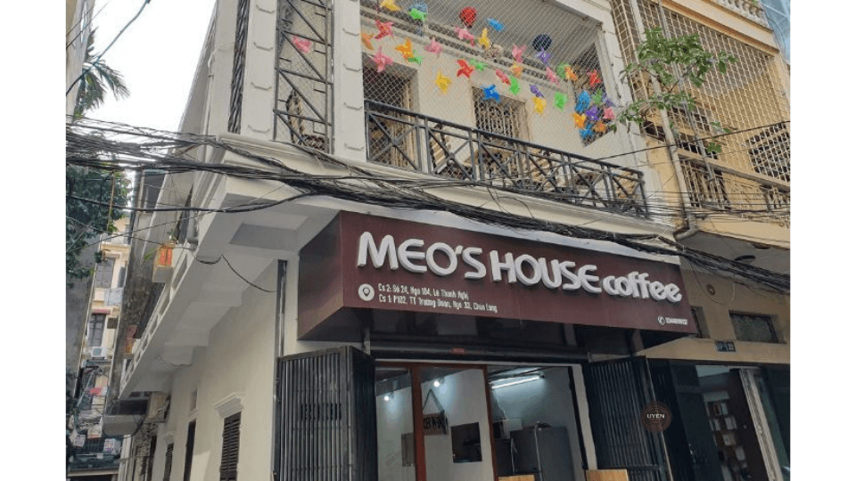 Cà phê mèo Hà Nội: Chốn dừng chân lý tưởng Meos House Cafe