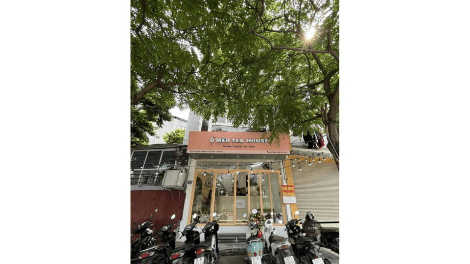 Cà phê mèo Hà Nội: Chốn dừng chân lý tưởng O Meo Tea House