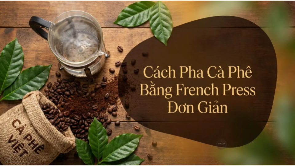 Hướng dẫn pha cà phê bằng French Press đơn giản, thơm ngon và hấp dẫn