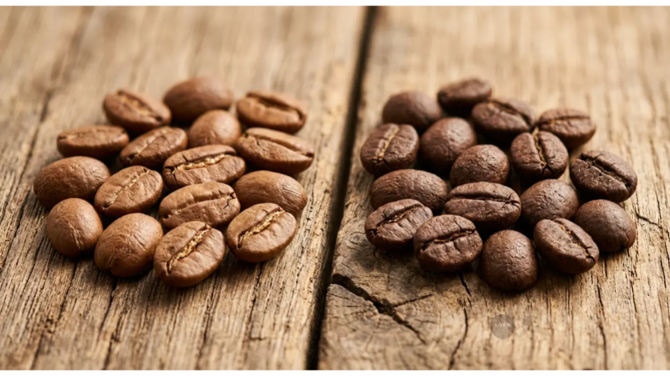 Xưởng Rang Cà Phê TP.HCM: Chất Lượng và Kiến Thức Chất Lượng Hạt: Robusta Và Arabica Tại Xưởng Rang Cà Phê