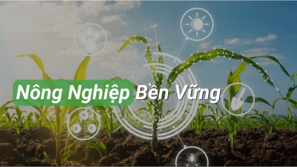 Thông tin về chính sách và tiêu chuẩn cà phê hữu cơ được chính phủ hỗ trợ.