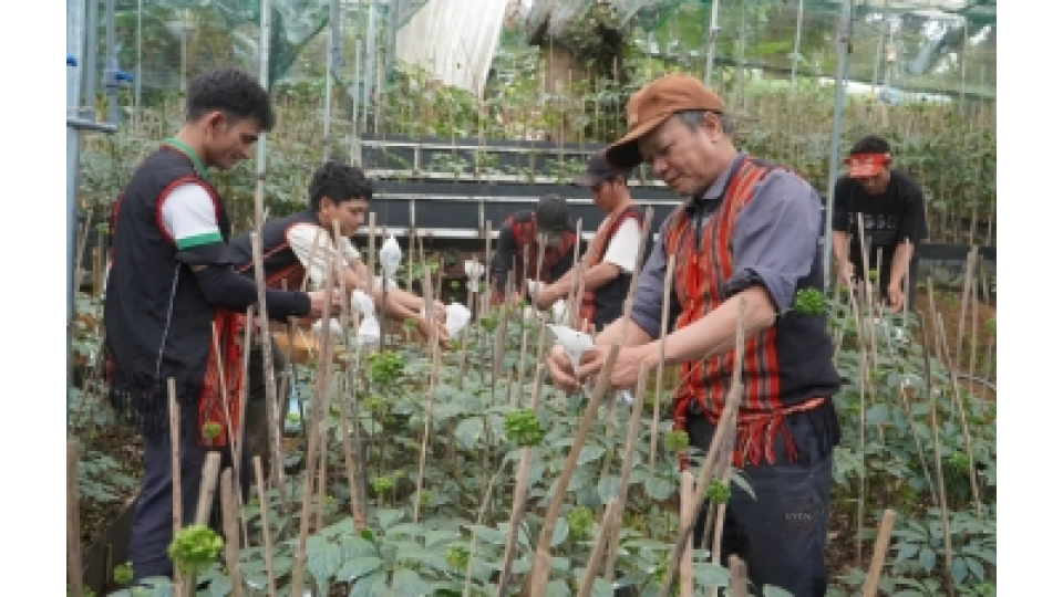 Mô hình phát triển bền vững tuân thủ tiêu chuẩn cà phê hữu cơ.