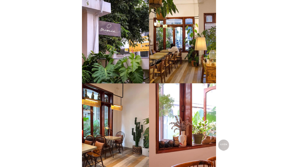 Top 35 Quán Café Đẹp Sài Gòn Nên Ghé Thăm Sân vườn mát mẻ ở Chill Corner, một quán cafe đẹp Sài Gòn.