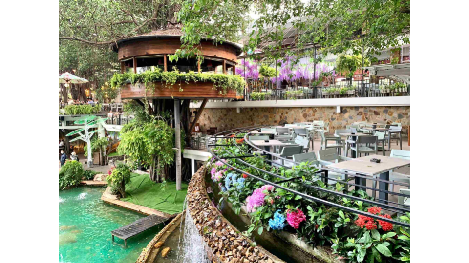 Top 35 Quán Café Đẹp Sài Gòn Nên Ghé Thăm Không gian xanh ở Oromia Coffee, một quán cafe đẹp Sài Gòn.