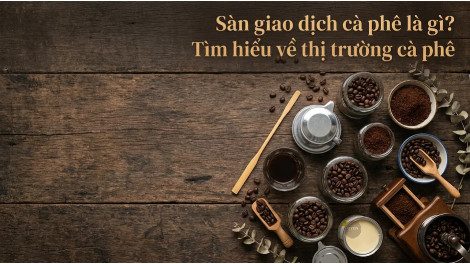 Sàn giao dịch cà phê và thị trường cà phê Việt Nam