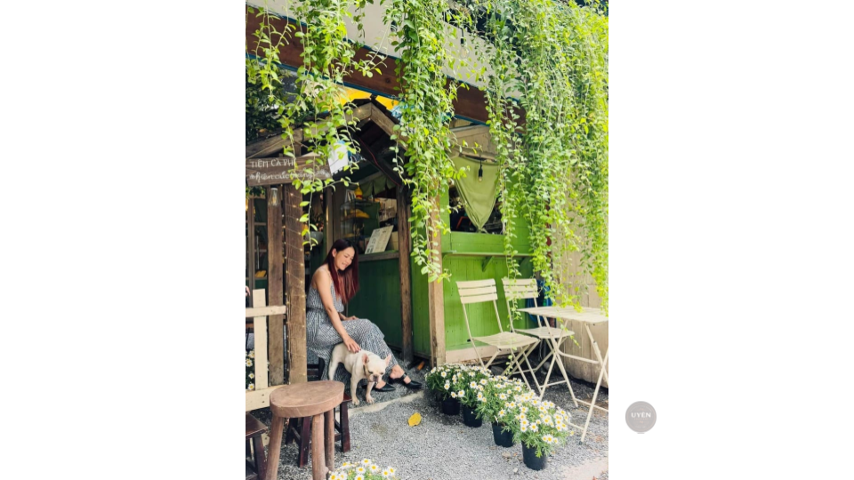 Top quán cà phê đẹp ở Tân Bình với view tuyệt vời Tiệm Cà Phê Hiên Cúc Trắng, quán cà phê đẹp ở Tân Bình mang đậm chất Đà Lạt.