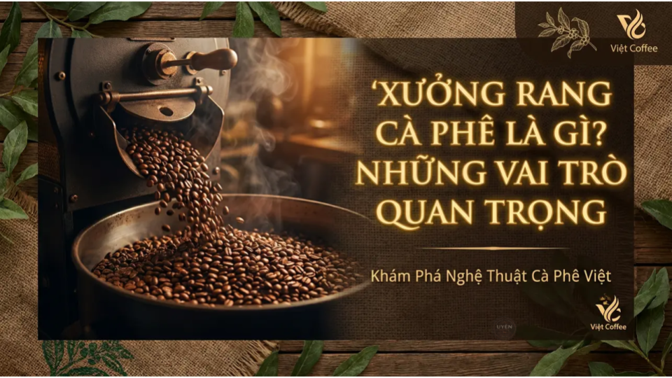 Tìm hiểu về xưởng rang cà phê và vai trò quan trọng trong chế biến cà phê