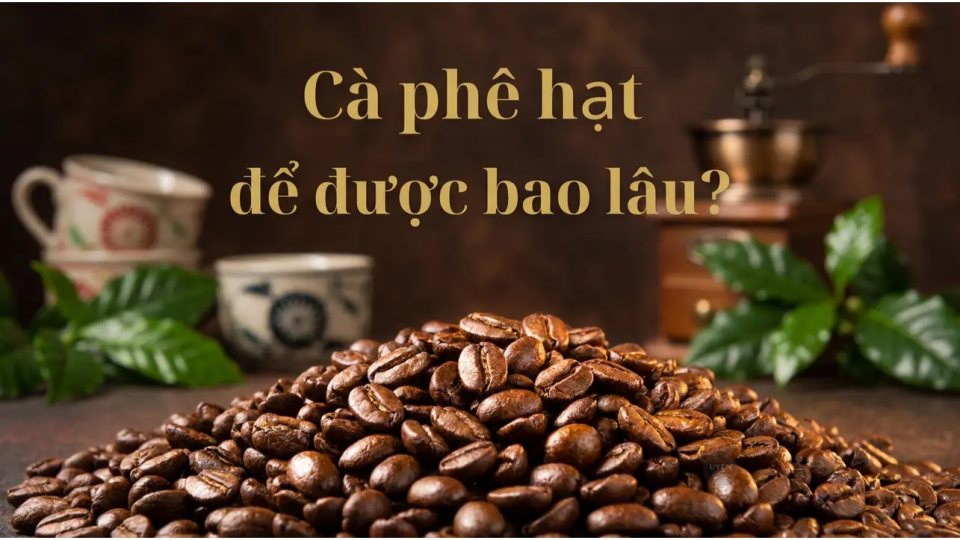 Cà phê hạt và cách bảo quản để giữ hương vị tốt nhất