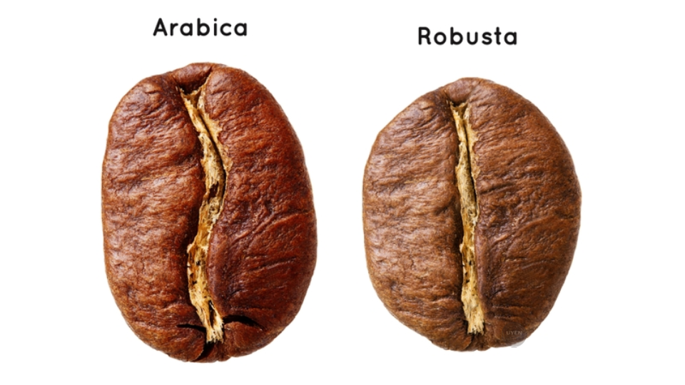 Trả lời câu hỏi cà phê Arabica là gì ở Việt Nam qua hình ảnh ly cà phê phin.