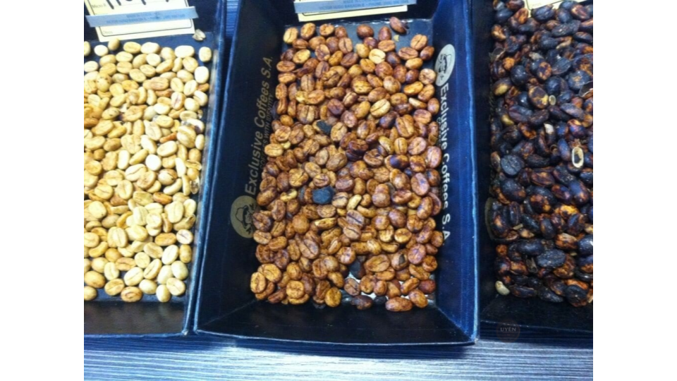 Cà phê Honey: Hiểu biết về quy trình và hương vị Ba cấp độ của cà phê Honey: Yellow, Red, và Black, cho thấy sự khác biệt về màu sắc.