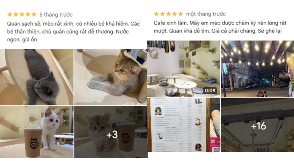 Cà phê mèo Sài Gòn: Điểm đến lý tưởng cho tín đồ cà phê Đánh giá chất lượng cà phê từ hạt rang đến ly thành phẩm, một kỹ năng quan trọng.