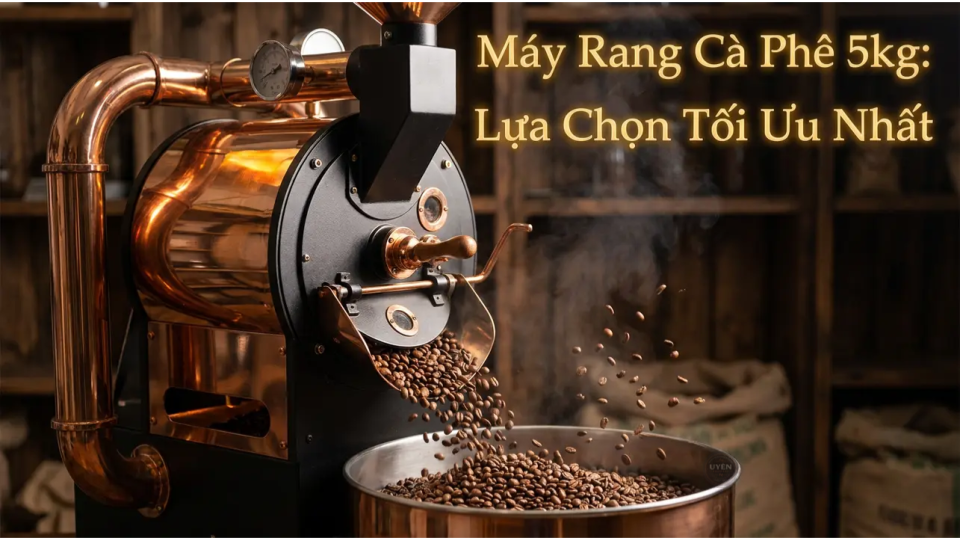 Máy rang cà phê 5kg chất lượng cao cho gia đình và quán cà phê