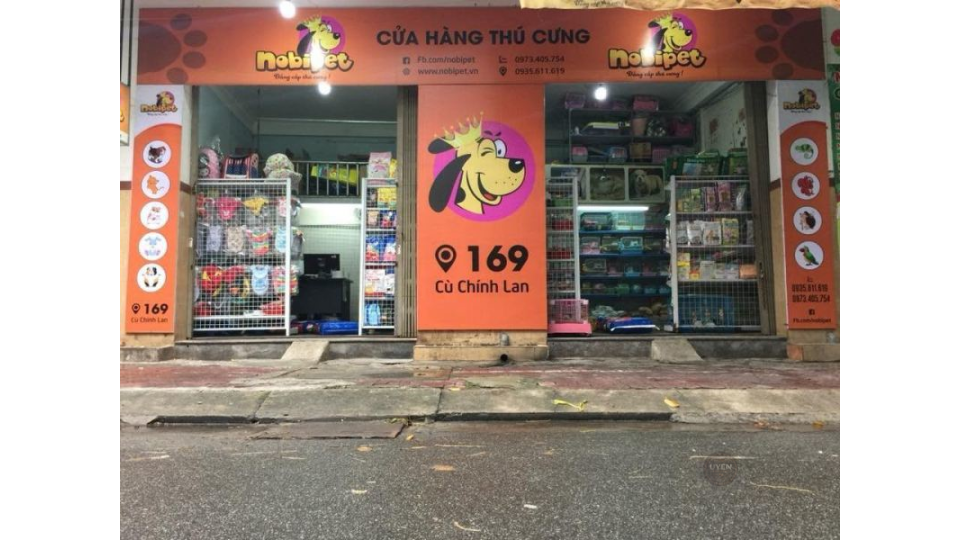 Cà phê mèo Đà Nẵng: Trải nghiệm quán cà phê thú cưng Một chú chó lớn tại Nobipet, địa chỉ cà phê mèo Đà Nẵng đa dạng.